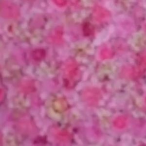 Meet your Posher, Cali